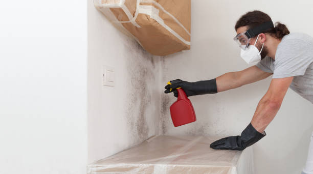 Professional Basement Mold Remediation technician working in Hampton, VA